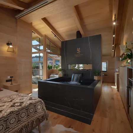 Hotel Victoria Centro 4*